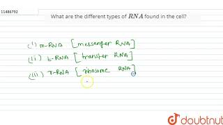 What are the different types of RNA found in the cell [upl. by Clare133]