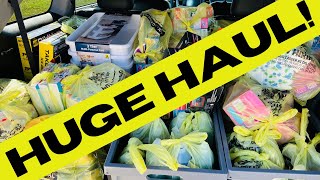 🔥FREE 25 50  DOLLAR GENERAL CLEARANCE EVENT HUGE HAUL  1041010 [upl. by Esineg]