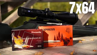 7x64 Hornady Super Performance VS Geco Express AMMO TEST [upl. by Trilbie951]