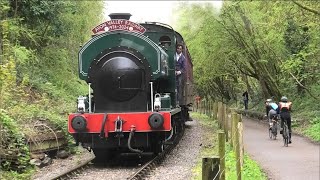 Avon Valley Railway 50th Anniversary with NCB 07 Wimblebury 1919 Cranford amp 4015 Karel 040424 [upl. by Sackman]