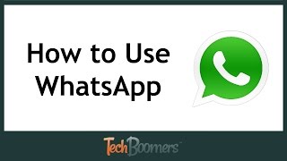 How to Use WhatsApp [upl. by Hepza]