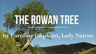 The Rowan Tree subtitles [upl. by Alpers]