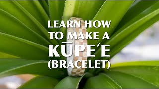 How to make a kūpeʻe bracelet [upl. by Ailero24]