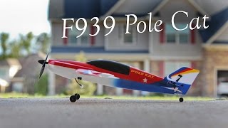 WLtoys F939 Pole Cat Gyro Version [upl. by Irfan]