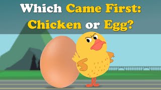 Which Came First  Chicken or Egg  more videos  aumsum kids science education children [upl. by Innig378]