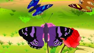 Maths  Symmetry in nature  Animation  English [upl. by Eniamor]