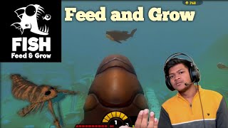 NEW I became a megalograptus fish feed and grow [upl. by Maddis493]