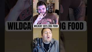 WILDCAT ATE DOG FOOD 8 YEARS AGO [upl. by Luhem]