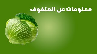 الملفوف الوصف النباتي والفوائد [upl. by Licastro]