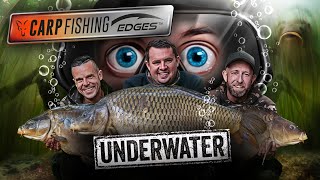 🎣 🤿 4 hours of mind blowing UNDERWATER action 🤯  Fox Carp Fishing Edges Underwater FULL FILM [upl. by Sparke]