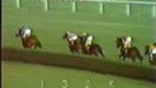 SECRETARIAT  1973 Man o War Stakes [upl. by Jumbala251]