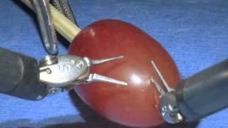 da Vinci Surgical System Surgery on a grape [upl. by Iormina]