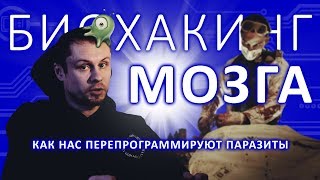 БИОХАКИНГ МОЗГА Почему мы ведем себя иррационально [upl. by Cram869]