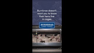 Burnbrae Doesn’t Want You To Know Their Hens Live in Cages [upl. by Clovis]