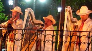 El Querreque con grupo jarocho en Coyoacán Ciudad de México [upl. by Gamaliel]