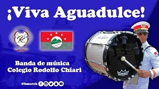 quotViva Aguadulcequot  Banda de música Colegio Rodolfo Chiari 2017 [upl. by Aehsrop]