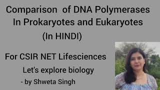 Comparison of DNA Polymerases In Eukaryotes and Prokaryotes For CSIR NET [upl. by Gelb361]