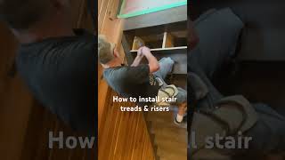 How To Install Stair Treads amp Risers carpenter carpentry woodworking stairs youtube short [upl. by Aisiram347]