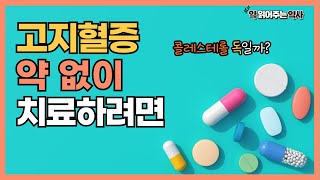 고지혈증 약 없이 치료하는 법 feat 콜레스테롤에 대한 오해와 진실 고지혈증 콜레스테롤 건강 [upl. by Enrahs165]