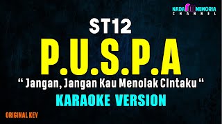 ST12  Puspa Karaoke Version [upl. by Zsa Zsa]