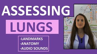 Lung Auscultation Landmarks Sounds Placement Nursing  Assessing Lungs Part 1 [upl. by Oler]