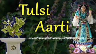 TULASI AARTI  Tulsi Krishna Preyasi Namo Namaha ISKCON Temple Songs [upl. by Wurster]