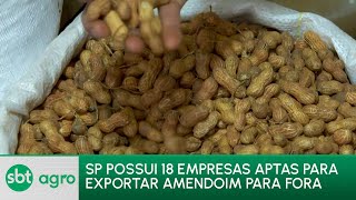 SBT AGRO 021023 São Paulo habilita mais de 2 empresas para exportação de amendoim [upl. by Reivaj27]