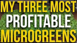 My 3 Most Profitable Microgreens [upl. by Snodgrass]