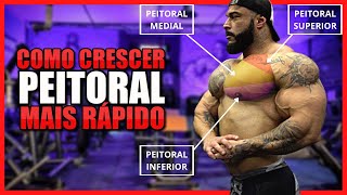 COMO CRESCER PEITORAL MAIS RÁPIDO TREINO COMPLETO [upl. by Showker11]