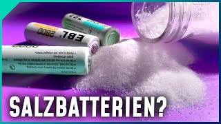 SalzwasserAkkus Das Ende der LithiumIonenBatterie [upl. by Domenic]