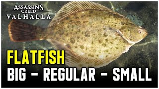 Assassins Creed Valhalla  Flatfish Fish Locations Big  Regular  Small [upl. by Janey]