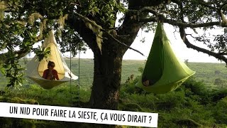 Insolite un nid pour faire la sieste ça vous dirait [upl. by Melony85]