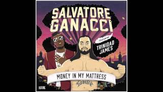 quotMoney In My Mattressquot  Salvatore Ganacci feat Trinidad James [upl. by Ainoyek803]