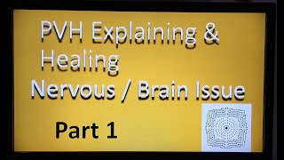 PVH Explains amp Heals Nervous  Brain Issue Part 1 [upl. by Tiloine]