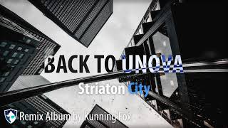 Striaton City Back to Unova  Remix Album by Kunning Fox Pokemon Remix BackToUnova [upl. by Ahsas]