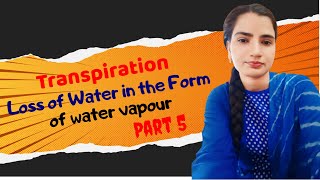 वाष्पोत्सर्जन  Transpiration Loss of water in the form of water vapour  Part 5 [upl. by Thornton]