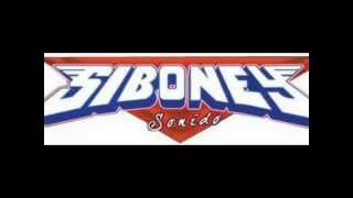 Dejame vivir en paz Sonido Siboney Live 1 [upl. by Eoin]