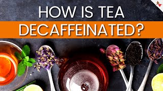 How Is Tea Decaffeinated  Which Teas Are Naturally Decaffeinated [upl. by Penelopa]