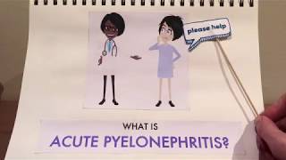 Acute Pyelonephritis  42844576 [upl. by Pronty]