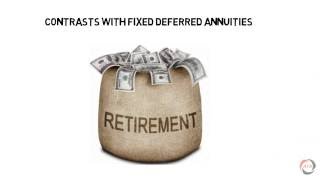 Immediate Annuities Explained [upl. by Jr162]