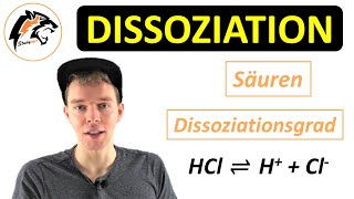 DISSOZIATION Säuren amp Salze  Chemie Tutorial [upl. by Smitt231]