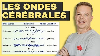 Comprendre les ondes cérébrales 2023  Dr JOE DISPENZA en français [upl. by Ahsetel320]