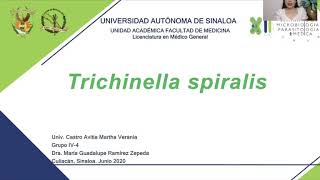 8Trichinella spiralis [upl. by Lindemann]