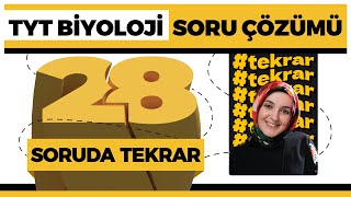 TYT Biyoloji Soru Çözümü  TYT Tekrar [upl. by Baalbeer722]