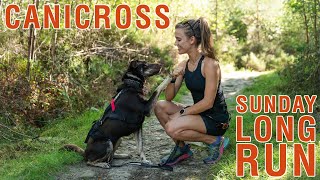 LONG TRAIL RUN WITH MY DOG  10km race training [upl. by Letnohs]