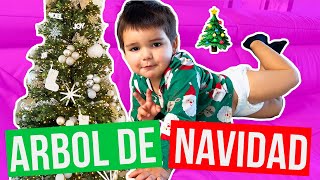 YA PUSIMOS EL ARBOL DE NAVIDAD  KARLA CELIS VLOGS [upl. by Ecirtaed959]