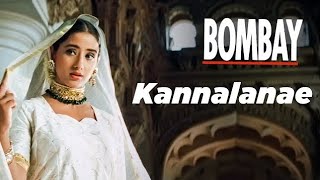 Kannalane Enadhu Kannai video Song HD  ARRahman  KSChithra  tamil love songs  tamil melody [upl. by Airdnekal]