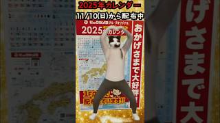 ビックカメラダンス】カレンダーキタービックカメラビックカメラダンスai catmemes ビックカメラ踊ってみた [upl. by Larok]