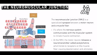 KN 152 Chapter Excitation Coupled Contraction amp SFT Brief Review amp Conclusion Lecture B [upl. by Pirri]