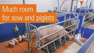 Variablerestraint pen with farrowing frame  ActiWel [upl. by Bernelle]